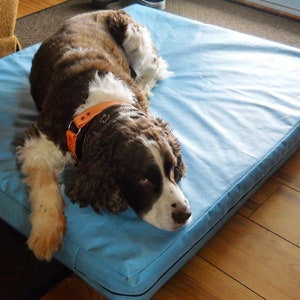 May include: A brown and white dog with an orange collar is lying on a blue dog bed. The dog is looking to the right of the image.