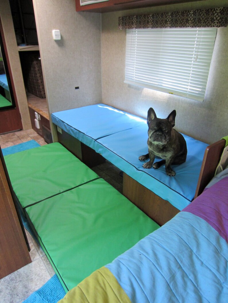 May include: A small, black and brown dog sits on a blue and green bed in a camper. The bed is made of two separate pieces, one blue and one green. The dog is looking at the camera.