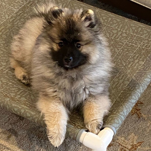 Sunbrella Fabric Etsy