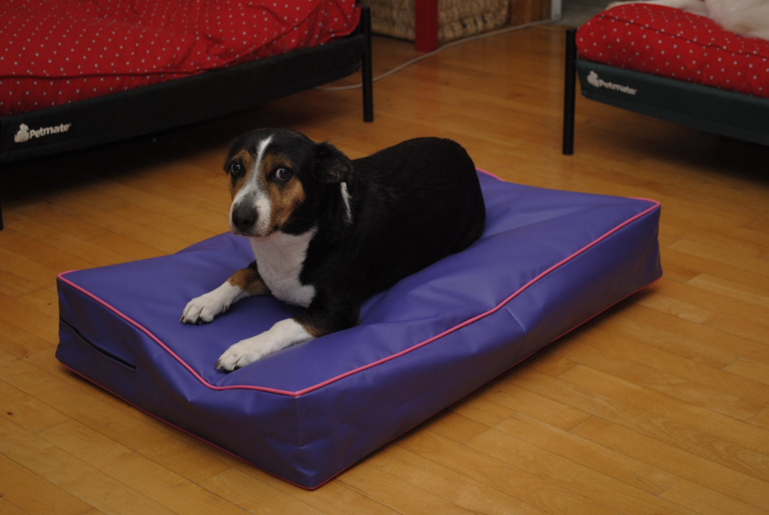 Extra Large Heavy Duty Dog Bed Cover 36x48x4 Dig Proof Etsy
