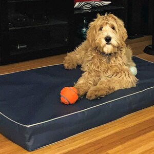 Waterproof Bed Cover, Incontinence Beds, Dog Bed, Cat Bed, Outside Replacement Pillow Cover, Duvet Waterproof Liner 28x42x4, 16 Colors.