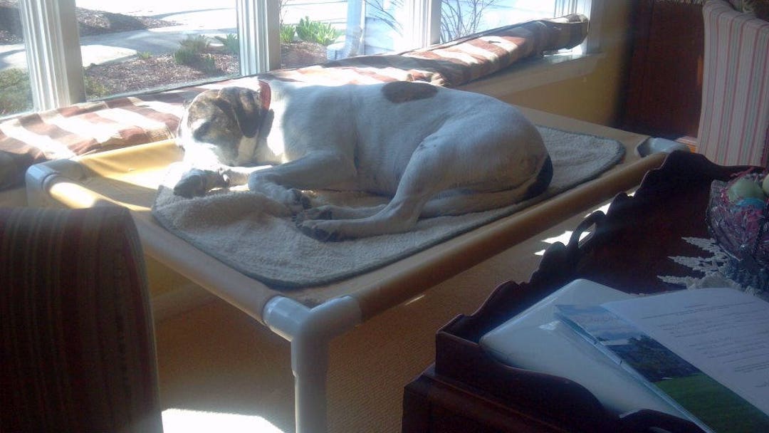 Large Dog Breed Dog Beds, Outdoor Dog Beds, Large Mesh Dog Bed, Canvas