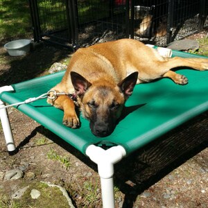 Orthopedic Dog Bed, 4 Sizes, Mesh Dog Bed, 11 Mesh Colors, Raised Dog Bed Outdoor Dog Cots, Cat Bed, Waterproof Dog Beds, Up To 130 Pounds. bild 3