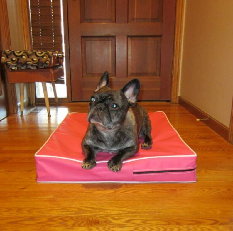 Waterproof Bed Cover Incontinence Beds Dog Bed Cat Bed Etsy