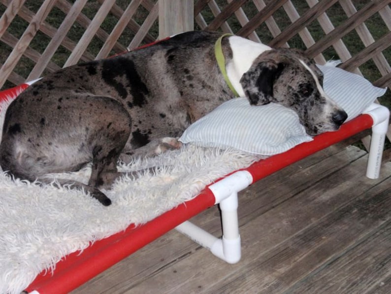 Extra Large Dog Bed 38x55 Custom Made PVC Pipe Dog Bed Cots Etsy