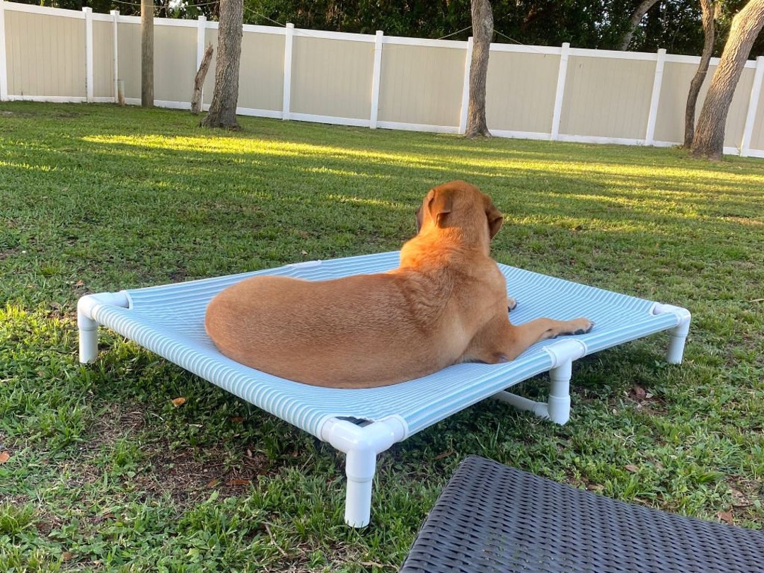 Heavy Duty Extra Large Dog Beds With Middle Support 9 Colors 2 Sizes