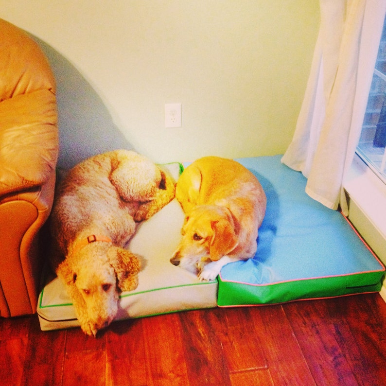 May include: Two dogs sleeping on a blue and green dog bed. One dog is a light brown poodle and the other is a light brown and white hound.