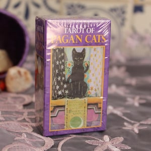 Kup Niesamowitą Tarotową Talię Pagan Cat Family Party Planszową Grę Karty Oracle Astrologia Wróżenie Wróżenie Karta Przeznaczenia dla Dziewczyny
