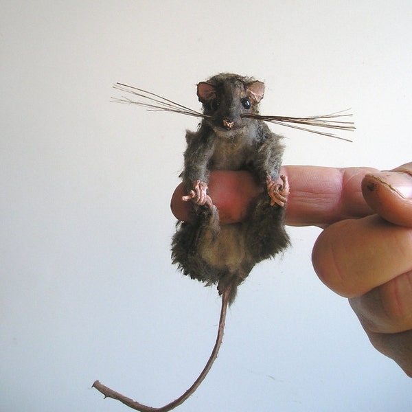 Posable Soft Finger Mice
