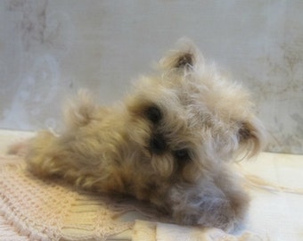 Patrón PDF de cachorros tipo maltés, yorkshire terrier y cairn (5,25")