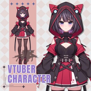 Aangepast Live2D VTuber-model, Live2D-model, VTuber-ontwerp, VTuber-model, VTuber Asset, VTuber-commissie, aangepast pngTuber, Live2D-commissie