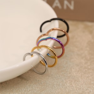 2 STÜCKE 14G 16G 18G 20G 316L Chirurgenstahl Septum Conch Helix Knorpel Nasenring Nasenloch Hoop Conch Ring Helix Piercing Schmuck Creolen
