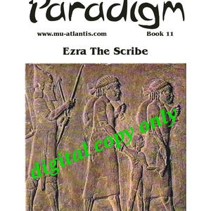 The Journal of the Moorish Paradigm Book 11 by Hakim Bey (PDF)