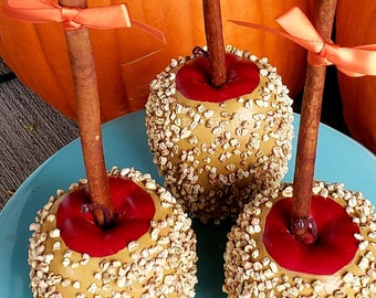 Fake Caramel Apples with Faux Cinnamon Sticks. Set of 3. Halloween Fake Candy Apple Fake Nuts. Carnival Candy Apple Collection. Fall Decor