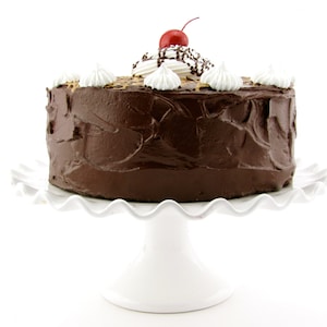 Fake Cake &quot;Retro Cookbook Cake Collection&quot; Yummy Chocolate Fudge Caramel Cake Fab Photo Prop, Cake Plate Display 12 Legs Original