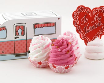 Fake Cupcake & Retro Inspired Camper Gift Box Set "Glamping Cupcake Sweetheart Collection" Swell Valentine Gift Turquoise/Pink Box