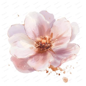 May include: Watercolor illustration of a delicate pink flower with gold accents. The flower has multiple soft petals and a detailed center. Gold paint splatters are at the bottom right, creating an artistic effect. The background is white.