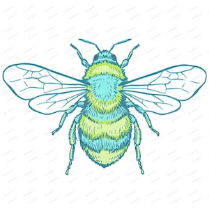 Op de afbeelding: Gedetailleerde illustratie van een bij, met blauwe en geelgroene tinten. Het lichaam van de bij is gesegmenteerd, met zichtbare vleugels en poten. Het kunstwerk heeft een handgetekende uitstraling, perfect voor ontwerpen met een natuurthema.