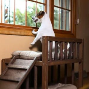 May include: A two-tiered, dark brown wooden dog bed with a ramp and a dog looking out a window. The bed has a lower and upper level, each with a beige cushion. The ramp provides easy access to the upper level.