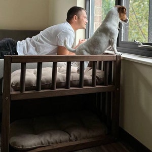 Elevated dog bed with ramp online