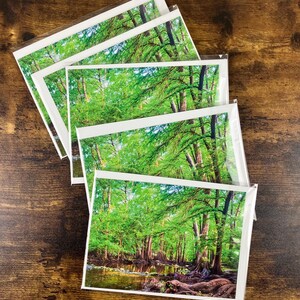 Texas Creek 5x7 Flat Greeting Photo Card Blank Inside, Nature/Wildlife Gift