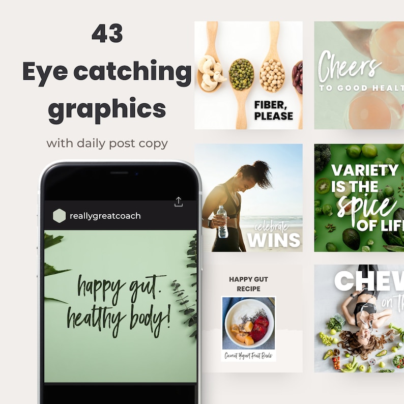 May include: A selection of graphics with text, including "43 Eye catching graphics with daily post copy." One graphic shows a phone with the text "happy gut. healthy body!" Other graphics include "Fiber, Please" and "Variety is the spice of life."