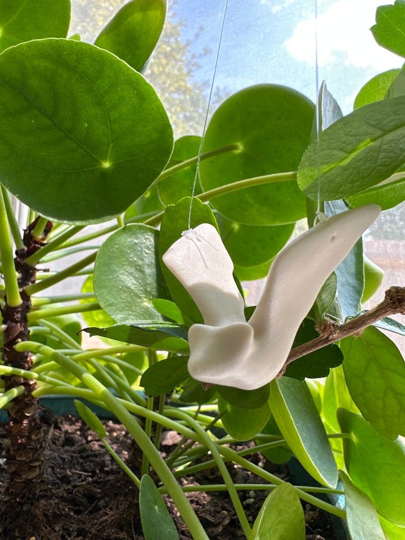 Flying Bat, Unglazed, Porcelain, Austin Texas Souvenir, ATX Batty