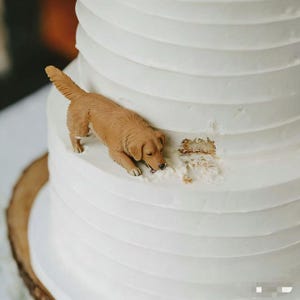 Puede incluir: Una taza de cerámica blanca con un asa negra y el texto "But First, Coffee" en negro, en negrita. La taza está sobre una superficie blanca.