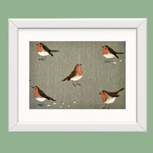 Sophie Allport Robin Art: Framed Bird Print, Christmas Decor