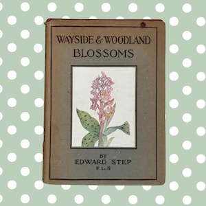 Könnte beinhalten: Ein Vintage-Buch mit dem Titel "Wayside & Woodland Blossoms" von Edward Step. Der Einband ist ein gedämpftes Braun mit dem Titel in dunkler Schrift. Eine gerahmte Illustration einer rosa und grünen Blume ist auf dem Einband zentriert. Der Hintergrund ist hellgrün mit weißen Punkten.