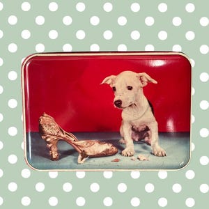 Puszka Benson's Cheeky Puppy Vintage z lat 50. XX wieku | Reklama słodyczy z połowy XX wieku i przedmiot kolekcjonerski