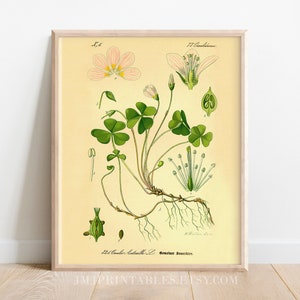 Printable Saint Patrick&#39;s Day Holy Trinity Shamrock Art Instant Download Botanical Irish Decor Catholic Printable Art