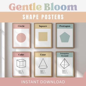 Shape Posters 2D & 3D | Morandi Math Classroom Decor (Printable PDF PNG)