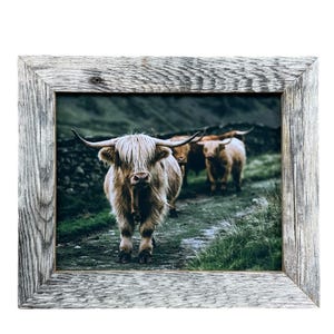 May include: A framed print featuring three Highland cows walking on a path. The cows have long, shaggy, light brown fur and large horns. The frame is made of weathered, gray wood. The background shows a green landscape with a dark mountain.