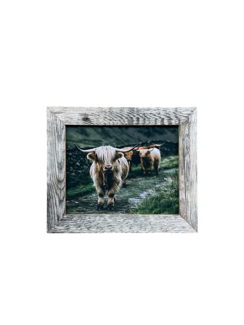 May include: A framed print featuring three Highland cows walking on a path. The cows have long, shaggy, light brown fur and large horns. The frame is made of weathered, gray wood. The background shows a green landscape with a dark mountain.