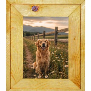May include: A rectangular light-colored wooden picture frame with a visible knot at the top center. The frame contains a photograph of a golden retriever dog sitting on a dirt path in a field of daisies with a wooden fence and mountains behind.