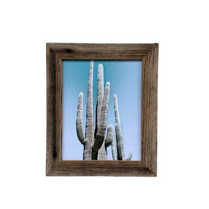 May include: Square framed print featuring a desert landscape with tall saguaro cacti against a light blue sky. The frame is made of weathered, light brown wood, adding a rustic touch to the artwork. The image evokes a sense of the American Southwest.