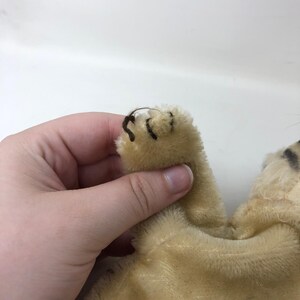 Vintage Steiff Mr Rogers Daniel Tiger Handpuppe Mohair Grün Haar Plüsch Bild 6