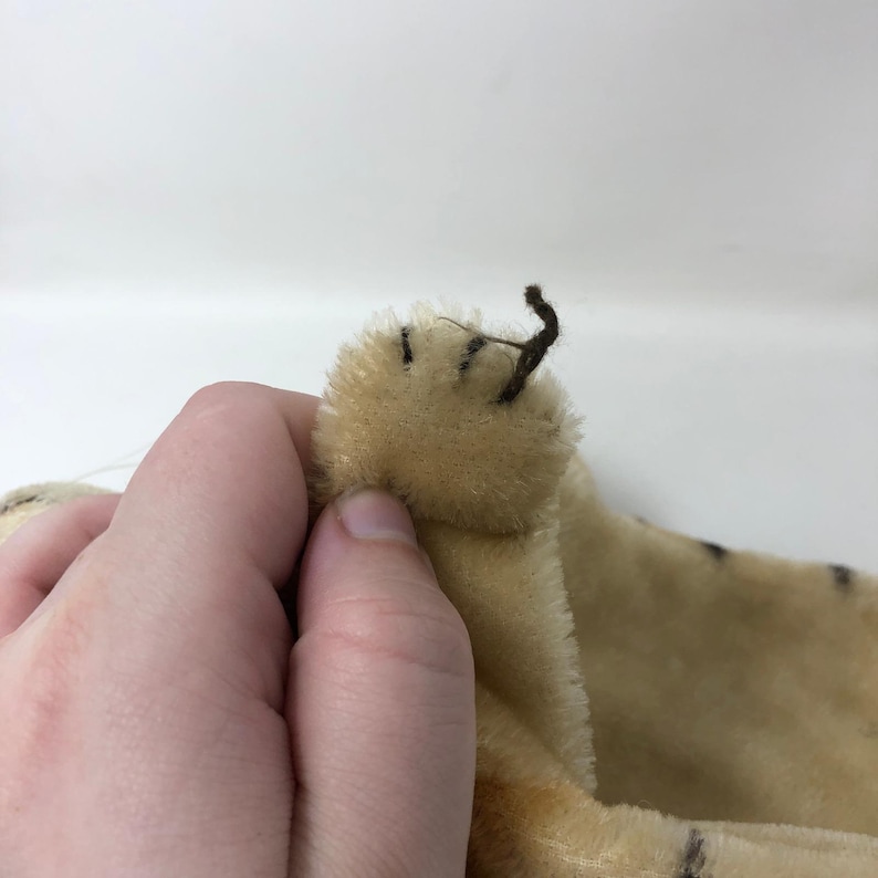 Vintage Steiff Mr Rogers Daniel Tiger Handpuppe Mohair Grün Haar Plüsch Bild 5