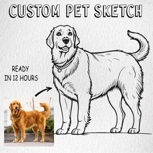 Custom Pet Outline Drawing pet sketch Custom Pet Portrait From Photo custom pet cartoon Pet and Owner Portrait, Personalized Pet Portrait