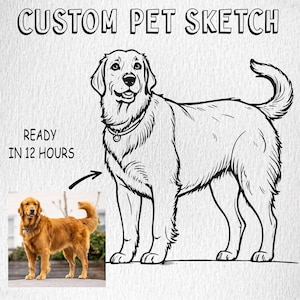 Custom Pet Outline Drawing pet sketch Custom Pet Portrait From Photo custom pet cartoon Pet and Owner Portrait, Personalized Pet Portrait