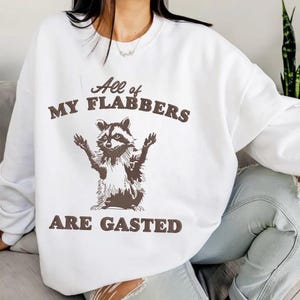 All Of My Flabbers Are Gasted Embroidered Shirt, Funny Raccoon Embroidered T-Shirt, Raccoon Meme Tee, Vintage Retro Cartoon Shirt