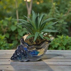 May include: A decorative seashell-shaped planter with a glossy, iridescent finish in shades of blue and silver. The planter holds a green succulent plant with long, pointed leaves. The planter sits on a wooden surface, with a blurred green background.