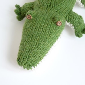 May include: Green knitted crocodile toy with white felt accents and brown button eyes.