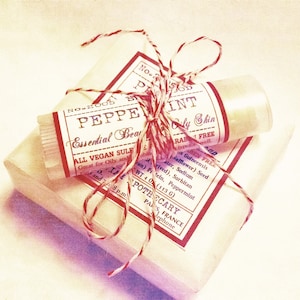 Oily Complexion Kit. Peppermint  Essential Oil Combo:  Vegan Soap Bar &  Application Stick.  Skin Food that Reduces Sebum Production