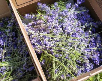 How about all things LAVENDER?  Gift Box. Free Shipping in the Continental U.S.  On sale this month. Save 7.95.