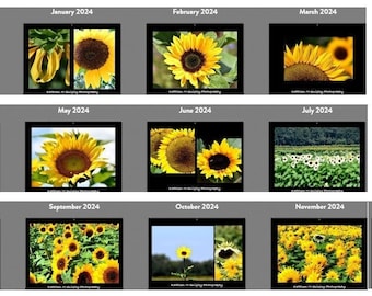 2024 Wall Calendar, Sunflower Series, original photographs - Size 8.5x11