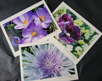 Violet Fowers Photo Greeting Cards Blank - Set of 3, taken in New Jersey.  Original Photograph, Each Card Art signed, can frame artwork.