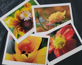 Yellow Flower Photo Greeting Cards Blank - Set of 4, taken in New Jersey.  Original Photograph, Each Card Art signed, can frame artwork.