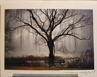 Tree Fog Photo Greeting Card Blank. Original Photograph, Card Art signed, can frame artwork.